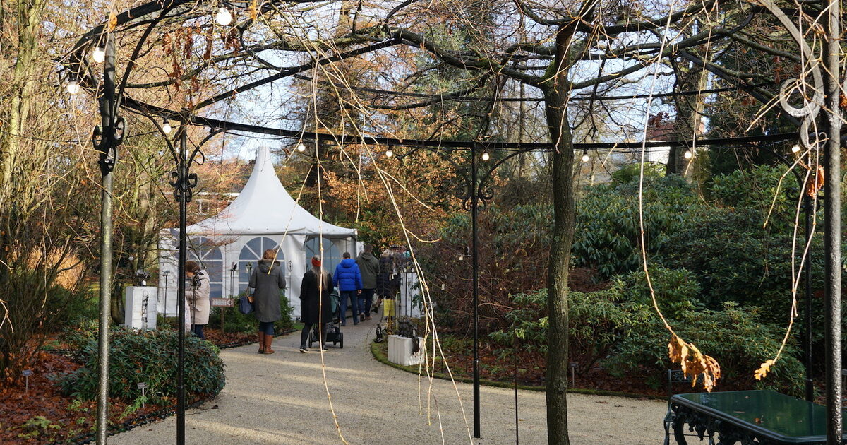 Duurzame Kerstmarkt Bij Trompenburg | #RotterdamCentrum