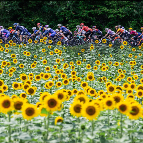 Tour de France Femmes credits A S O Charly Lopez