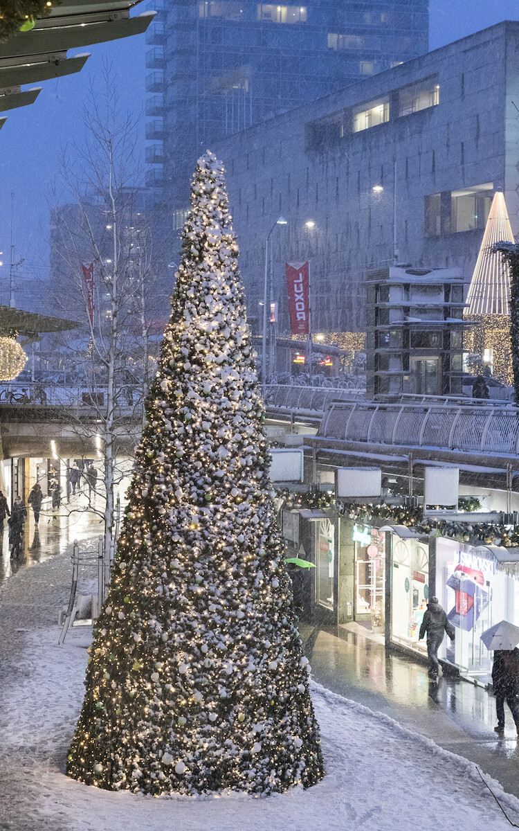 Koopgoot kerstverlichting Guido Pijper